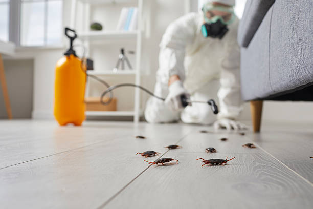 Commercial Kitchen Cockroach Control in Indialantic